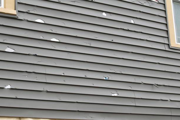 Affordable Siding Repair and Maintenance Services in New City, NY